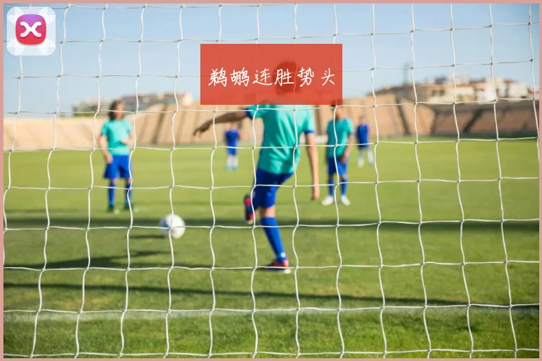 鹈鹕连胜势头