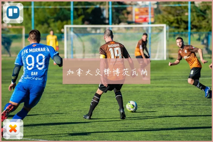 加拿大交锋博茨瓦纳