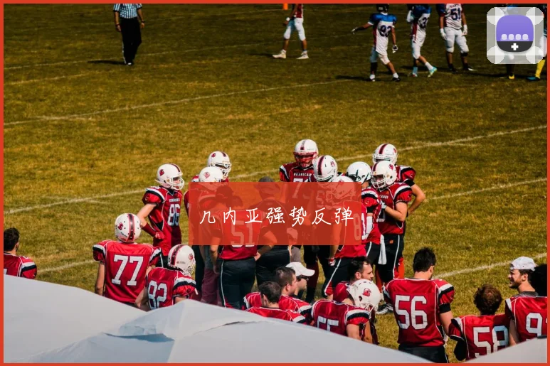 几内亚强势反弹