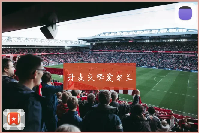 丹麦交锋爱尔兰