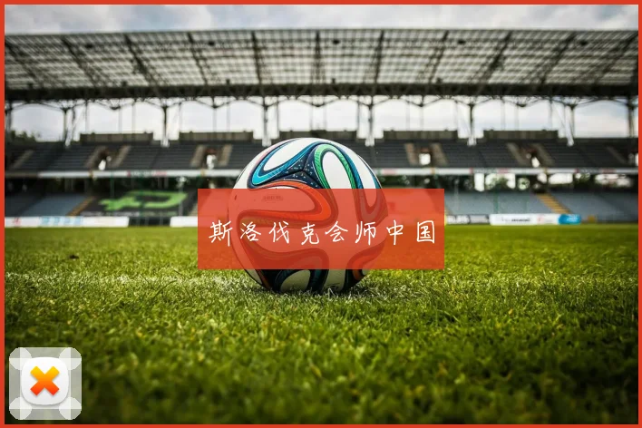斯洛伐克会师中国
