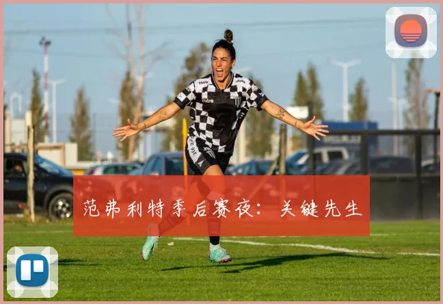 范弗利特季后赛夜：关键先生