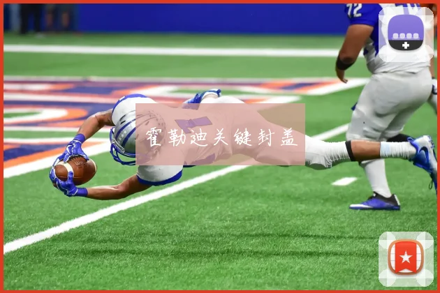 霍勒迪关键封盖