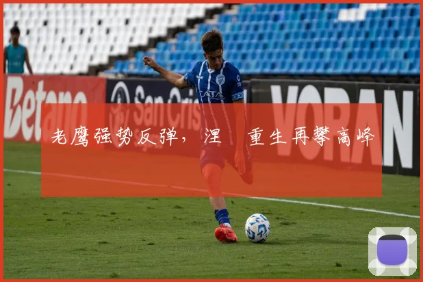 老鹰强势反弹，涅槃重生再攀高峰
