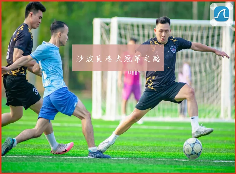 沙波瓦洛夫冠军之路