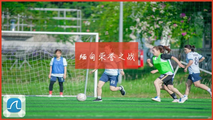 缅甸荣誉之战