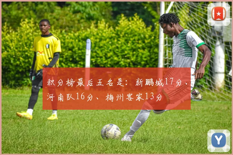 积分榜最后五名是：新鹏城17分、河南队16分、梅州客家13分