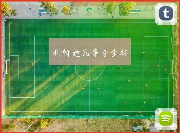 科特迪瓦争夺金杯