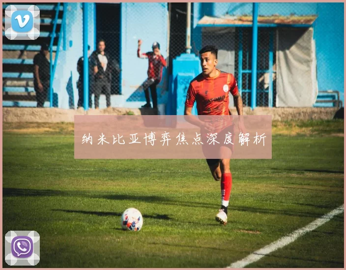 纳米比亚博弈焦点深度解析