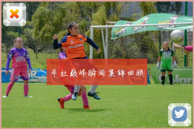 辛杜巅峰瞬间集锦回顾