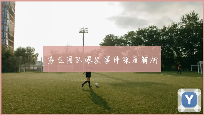 芬兰团队爆发事件深度解析