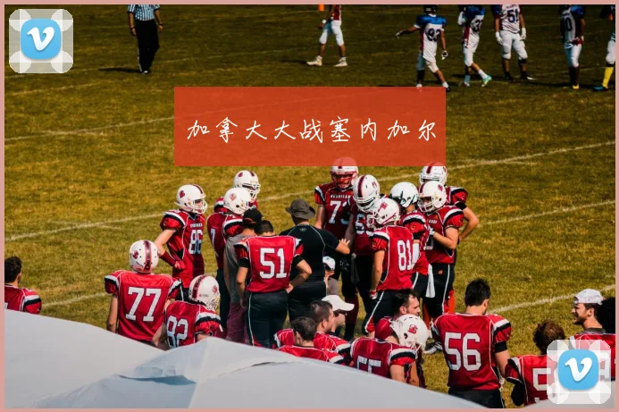 加拿大大战塞内加尔