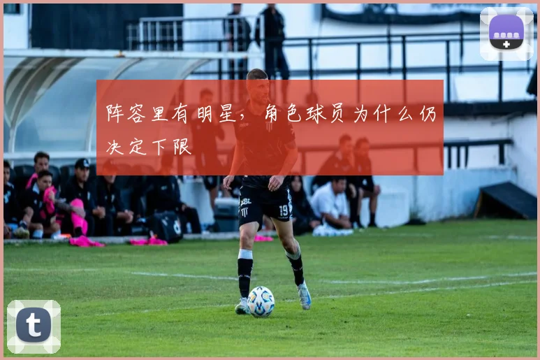 阵容里有明星，角色球员为什么仍决定下限