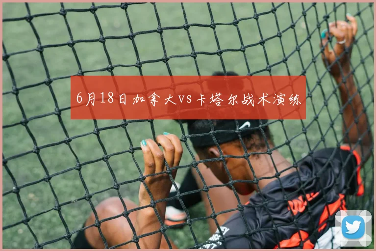 6月18日加拿大vs卡塔尔战术演练