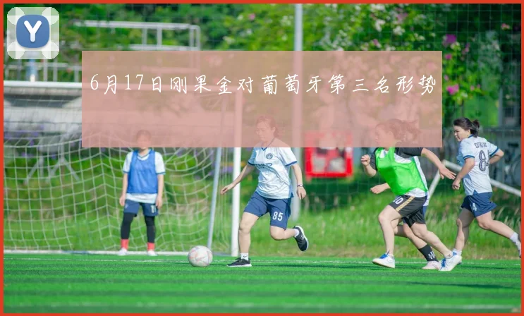 6月17日刚果金对葡萄牙第三名形势