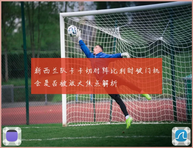 新西兰队卡卡切对阵比利时破门机会是否被放大焦点解析