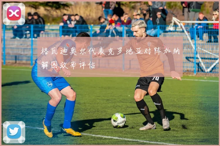 格瓦迪奥尔代表克罗地亚对阵加纳解围效率评估