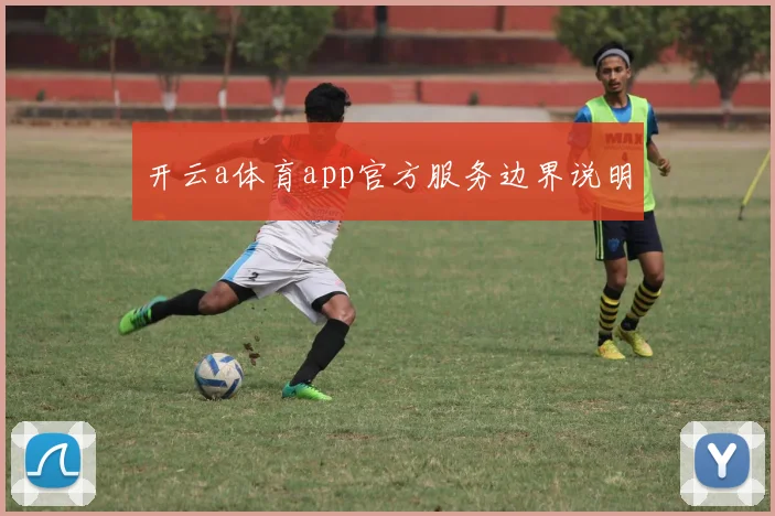 开云a体育app官方服务边界说明