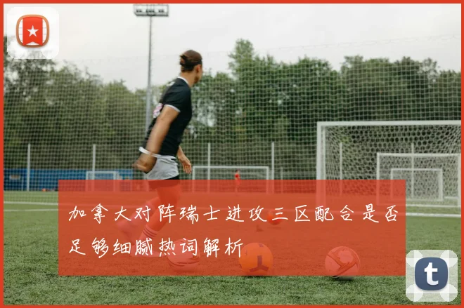 加拿大对阵瑞士进攻三区配合是否足够细腻热词解析