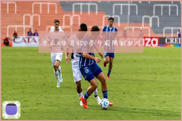 开云a体育app参与前限制核对