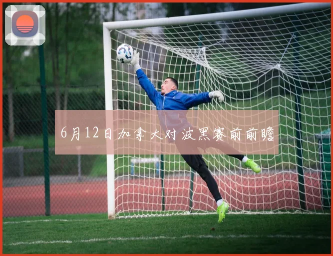 6月12日加拿大对波黑赛前前瞻
